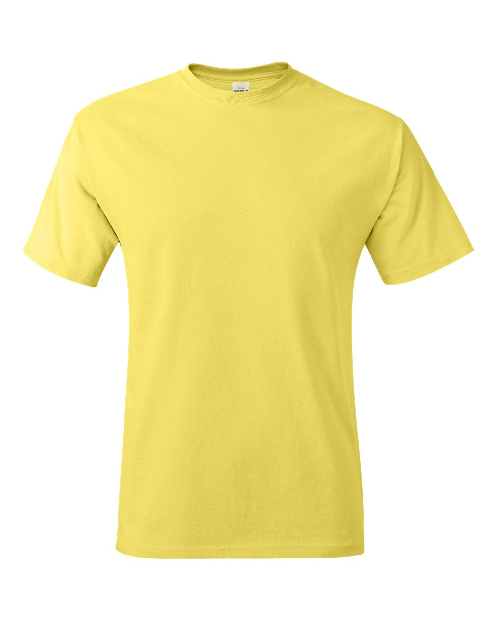 Hanes Unisex Authentic T-Shirt - 5250 DTF print only