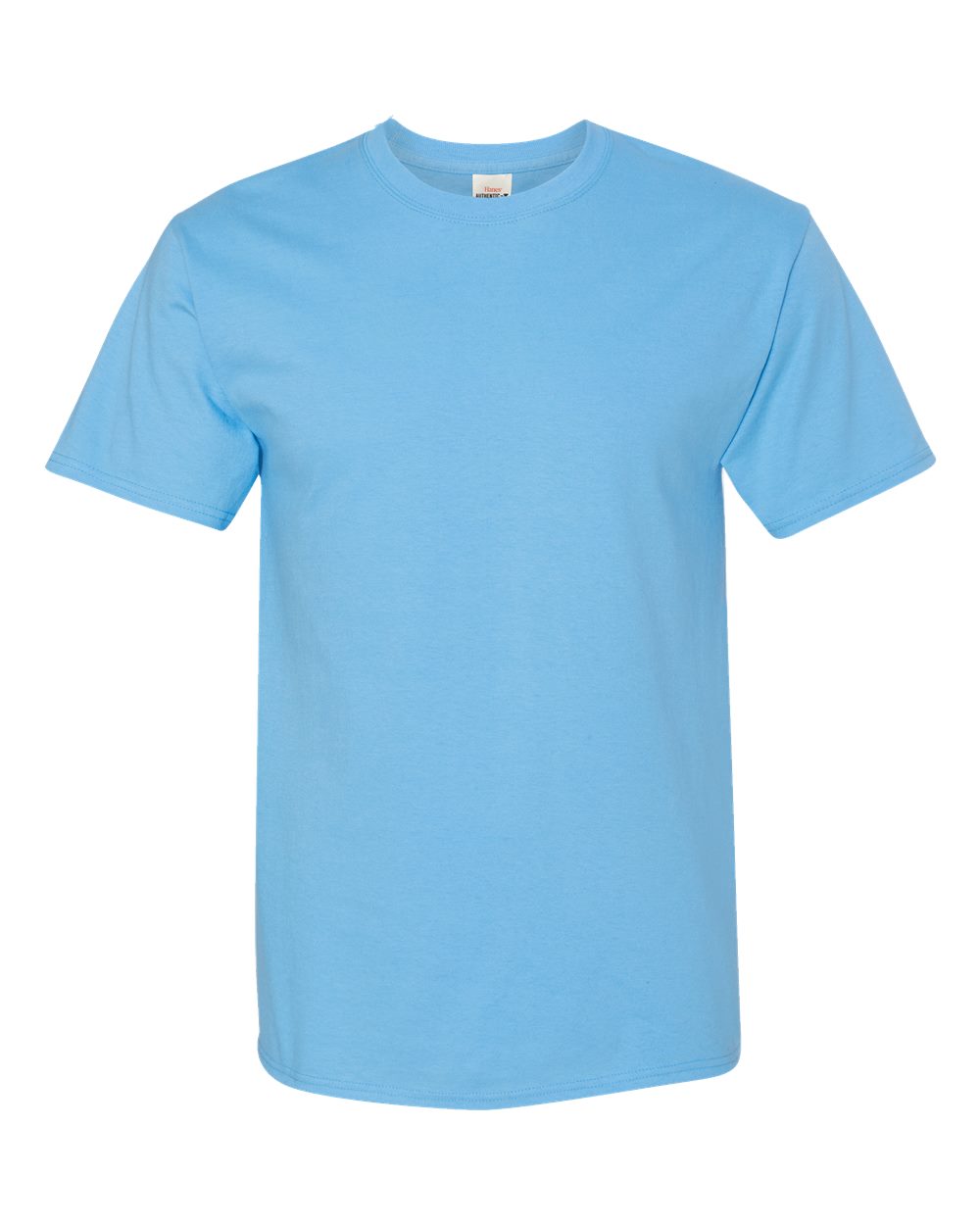 Hanes Unisex Authentic T-Shirt - 5250 DTF print only
