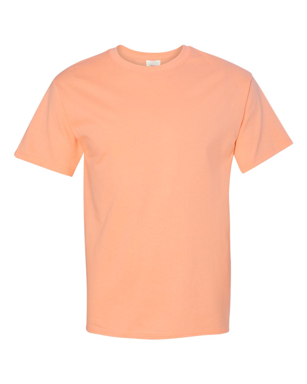 Hanes Unisex Authentic T-Shirt - 5250 DTF print only