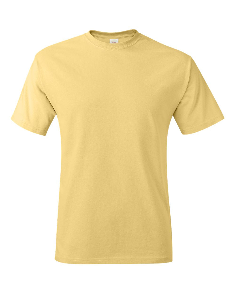 Hanes Unisex Authentic T-Shirt - 5250 DTF print only