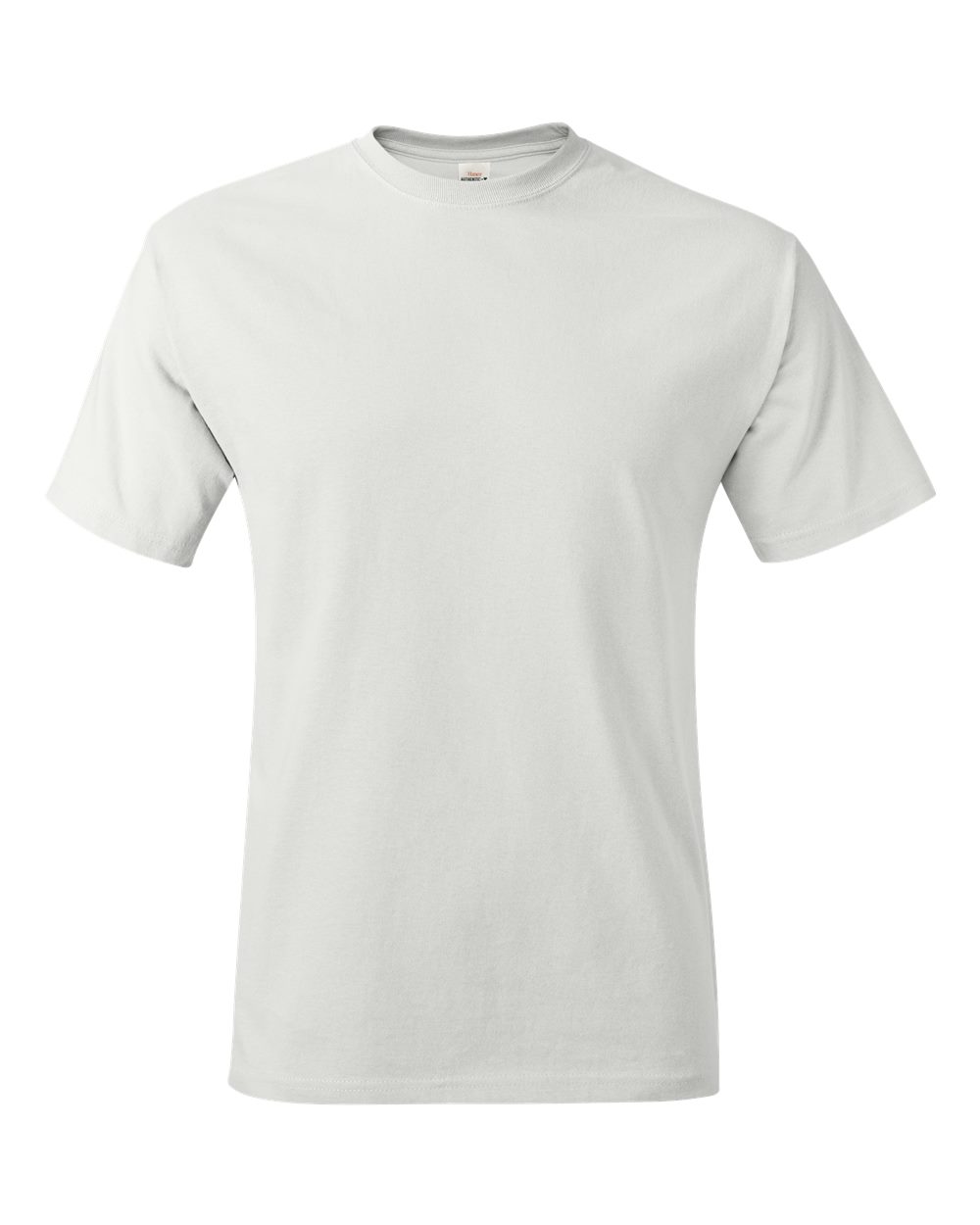 Hanes Unisex Authentic T-Shirt - 5250 DTF print only