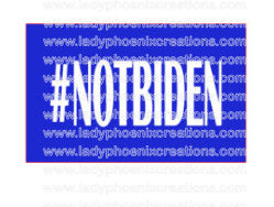 Double sided car flag w/pole 12x15 Made in USA Design as shown #notbiden